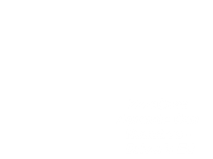 Game Thumbnail - CNAE Aprende con Nosotros - Driver's Ed (Spain) [b]